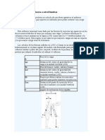 Analisis Esfuerzo Lumbar