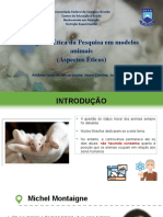 Grupo 6 - Ética Da Pesquisa Em Modelos Animais