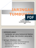 Jaringan Tumbuhan Pertm II