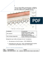 Intemperismo Resumo