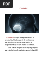 Cerebelul
