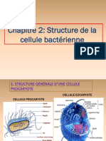 Chapitre 2