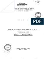 Diagnostico de Borrelia