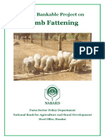 Lamb Fattening: Model Bankable Project On