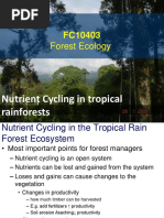 Forest Ecology: Nutrient Cycling in Tropical Rainforests