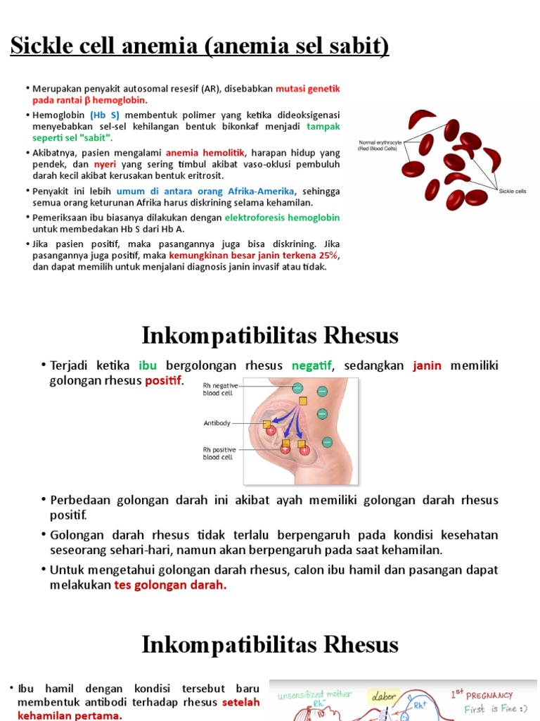 Inkompatibilitas Rhesus dan Kehamilan | PDF | Kesehatan Holistik ...