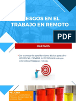 Trabajo Remoto