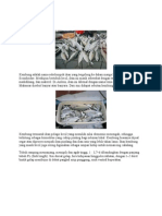 Download jenis ikan by Tirta Oktari Azis SN57727035 doc pdf