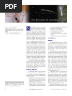 Foguete de Garrafa Pet