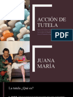 Acción de Tutela Unimag