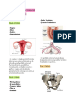 Anatomia Do Sistema Reprodutor Feminino - Aula Do Dia 23 de Fev. FPA Clin em Ginec Obst e Ped Aula 01