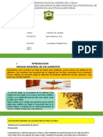 Analisis Sensorial Miel de Abejas