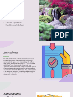 Proyecto Final-Diapositivas