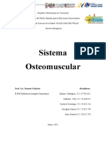 Sistema Osteomuscular