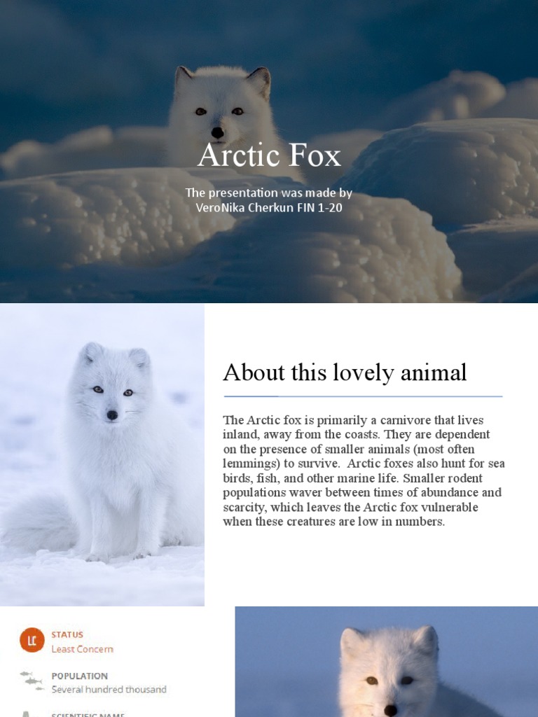 Surviving in Extreme Conditions: An Overview of the Behavioral