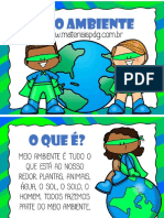 Meio Ambiente PDF