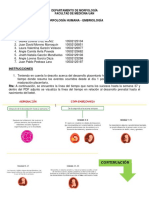 Taller de La Octava Semana Al Nacimiento