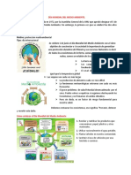 Dia Mundia Del Medio Ambiente