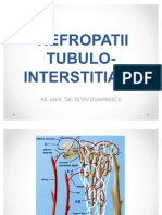 Curs 2 Nefropatii Tubulo-Interstitiale