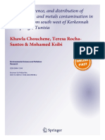 Types, Occurrence, and Distribution of Microplastics and Metals Contamination in Sediments From South West of Kerkennah Archipelago, Tunisia