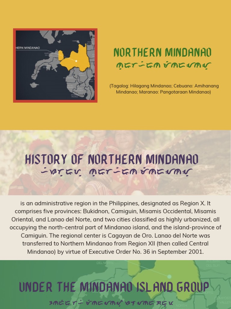 Overview of Northern Mindanao Region | PDF | Mindanao | Philippines