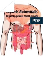Anatomía Del Abdomen