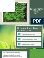 KLASIFIKASI LUMUT HATI