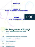 MIKOLOGI: Filum Plasmodiophoromycota