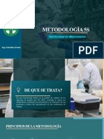 Medología 5s