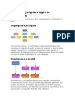 Tipos de Organigrama Según Su Organización