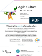 Agile Culture Report 2019 - Caroline Taylor