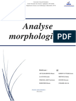 Analyse Morphologique Rapport