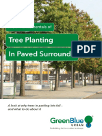 Tree Planting in Paved Surrounds: The 7 Fundamentals of