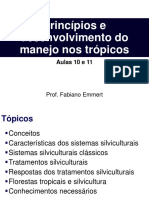 Aula 10_11_Desenvolvimento Do Manejo Em Florestas Tropicais e Sistemas Silviculturais Aplicados