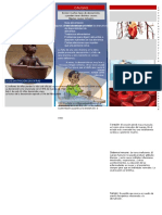 PDF Desnutricion Triptico