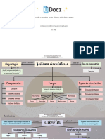 Sistema circulatorio mapas conceptuales