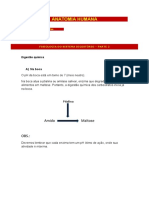 Anatomia Humana: Amido Maltose