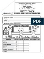 Examen 5 Dante