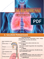 Sistem Respirasi