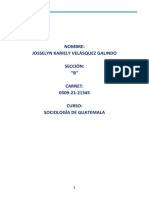 Sociologia de Guatemala Trabajo Final