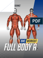 Full Body Workout A PDF DL