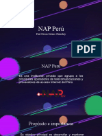 NAP y Conmutación en Redes