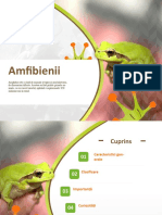 Amfibienii