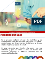 Sesion 14 Promoción de La Salud