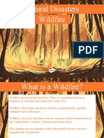 T2 G 413 Natural Disasters Wildfire Information PowerPoint