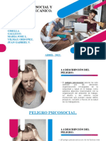 Peligro Psicosocial - Peligro Biomecan