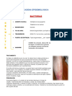 Cadena Epidemiologica 1