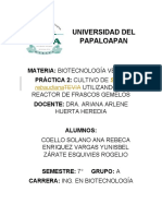 Universidad Del Papaloapan: Materia: Biotecnología Vegetal Práctica 2: Cultivo de