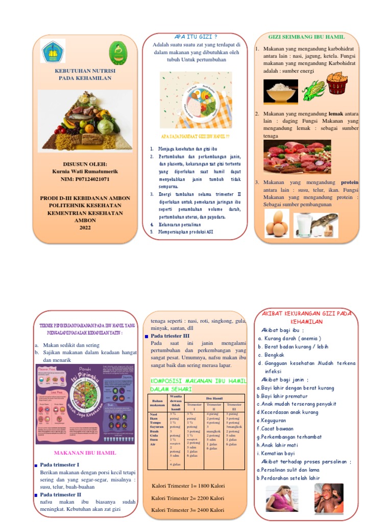 Leaflet Menu Gizi Seimbang Ibu Hamil | PDF