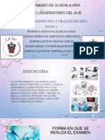 Exposicion Endoscopia y Traqueostomia